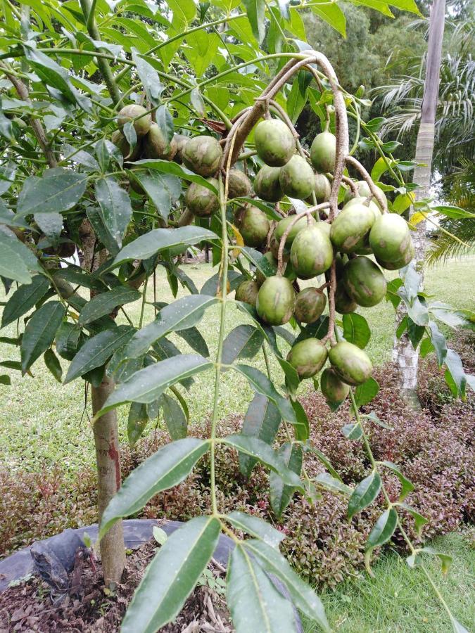 Estancia La Colina Santo Domingo de los Colorados Eksteriør bilde