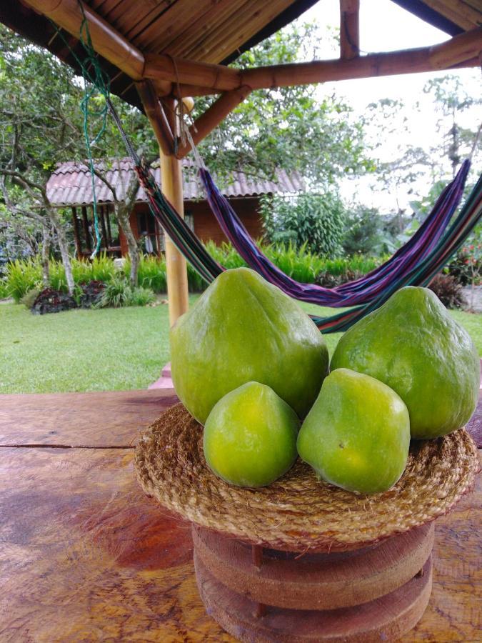 Estancia La Colina Santo Domingo de los Colorados Eksteriør bilde