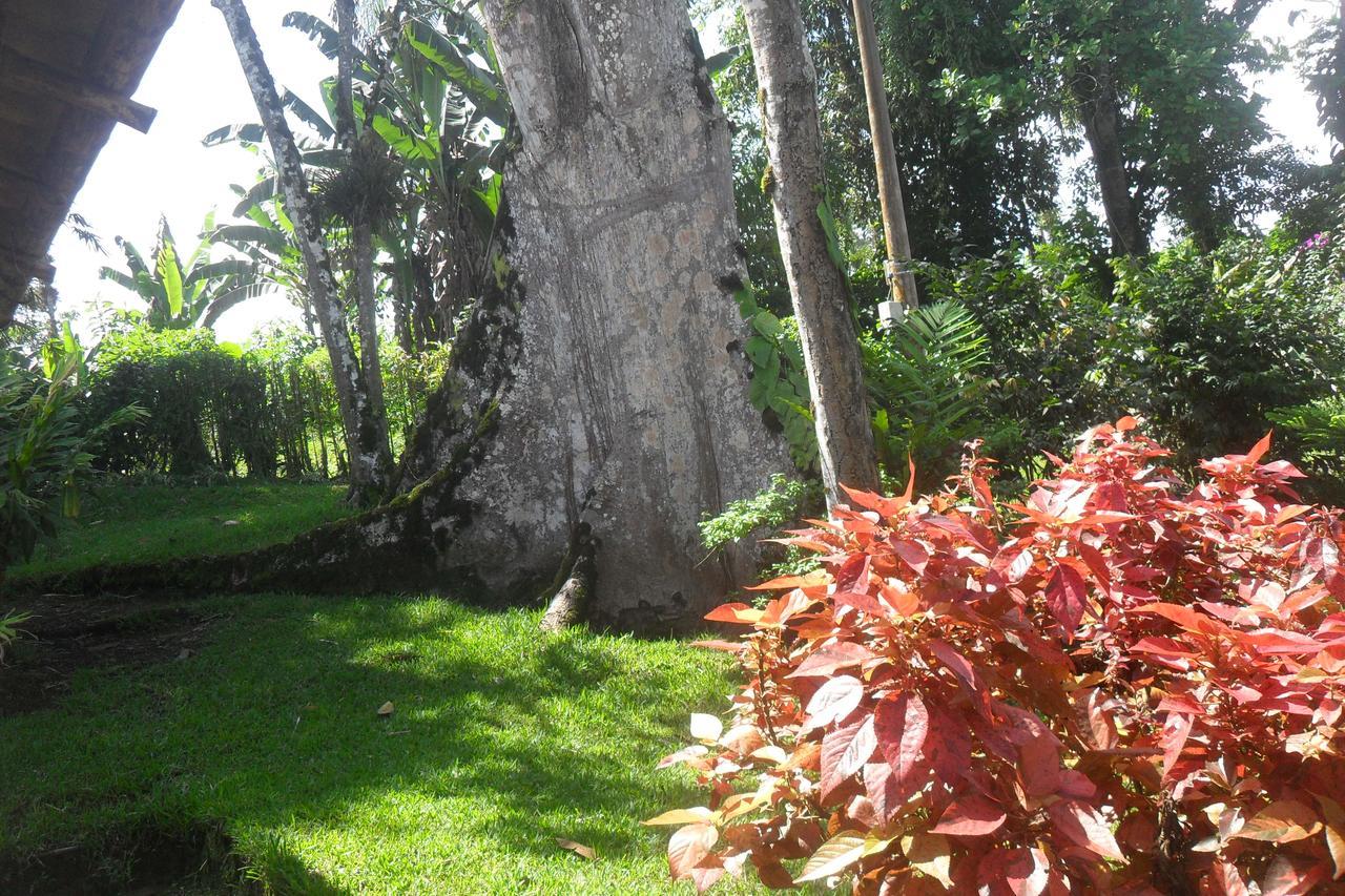 Estancia La Colina Santo Domingo de los Colorados Eksteriør bilde