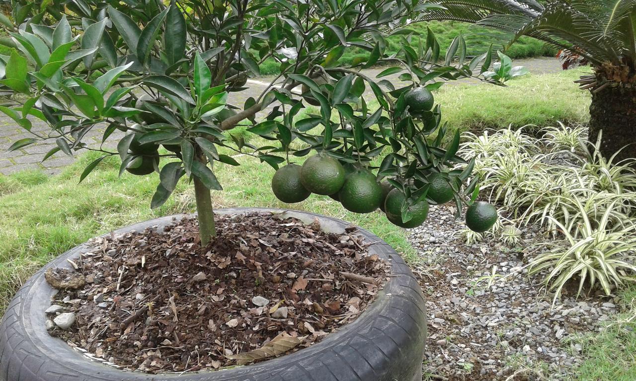 Estancia La Colina Santo Domingo de los Colorados Eksteriør bilde
