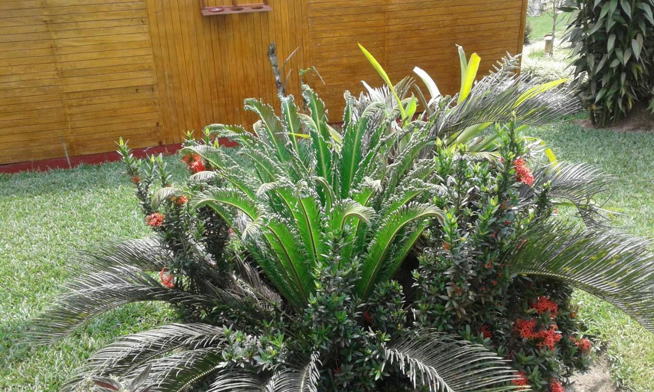 Estancia La Colina Santo Domingo de los Colorados Eksteriør bilde